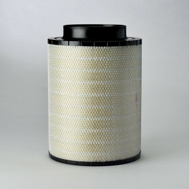 Filtro per l'aria Donaldson B120439 - Donaldson