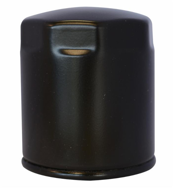 Filtro gasolio riferimento adattabile al riferimento originale trattori Lombardini 2175,045 - Ama