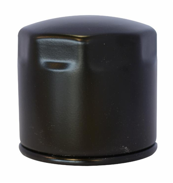 Filtro nafta adattabile al riferimento originale Kubota 15221-43080 - Ama