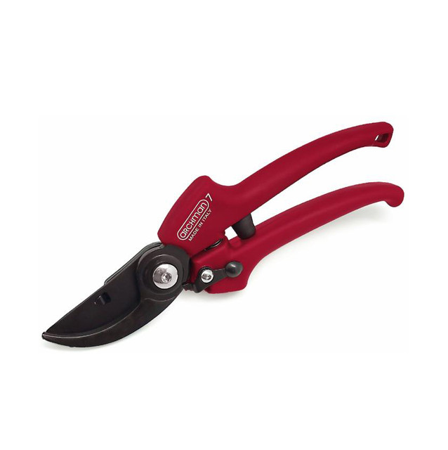 Forbice potatura lama By-Pass teflonata intercambiabile - No brand