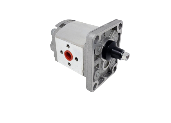 Pompa ad ingranaggi gruppo 1 18CC dx - Ama Refluid