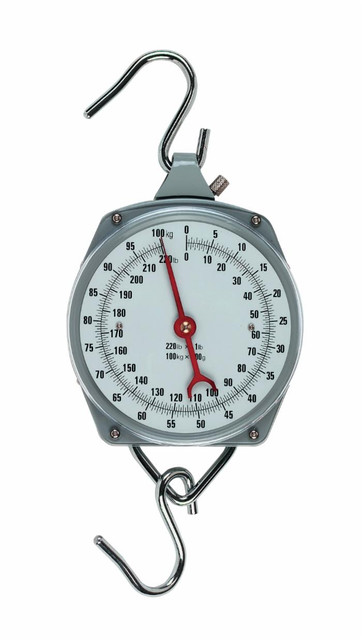 Bilancia sospesa con quadrante portata 100kg passi 500g - Ama