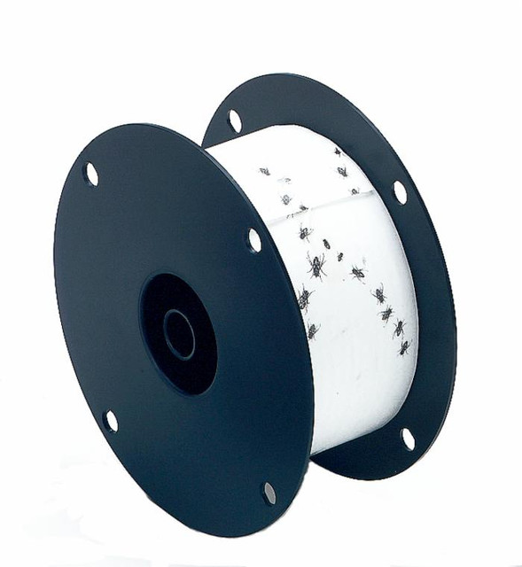 Nastro moschicida - Ama