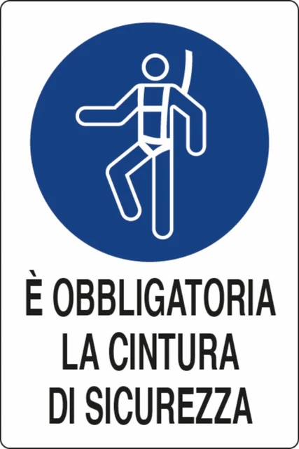 Cartello segnaletica "obbligatora cintura di sicurezza" 30x20 - Ama