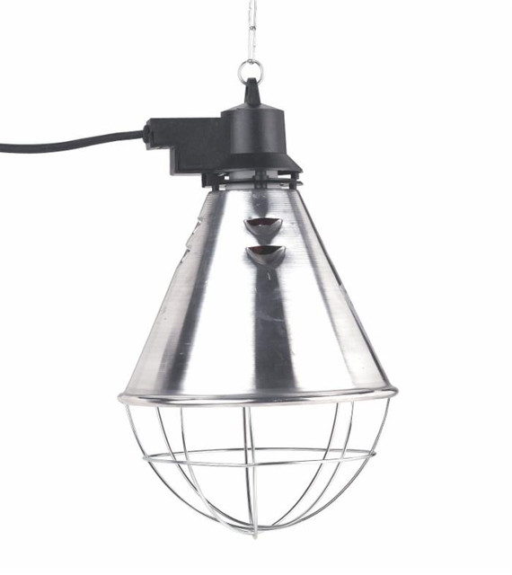 Portalampada a campana - Ama