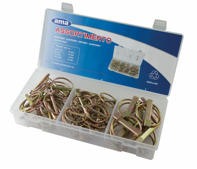 Assortimento 50 spine a scatto - Ama