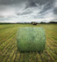 Rete per rotopressa Cotesi Cross X-Pand 123cm x 2000m - Cotesi