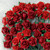 Blomster PD Nr200 røde roser 1,8cm