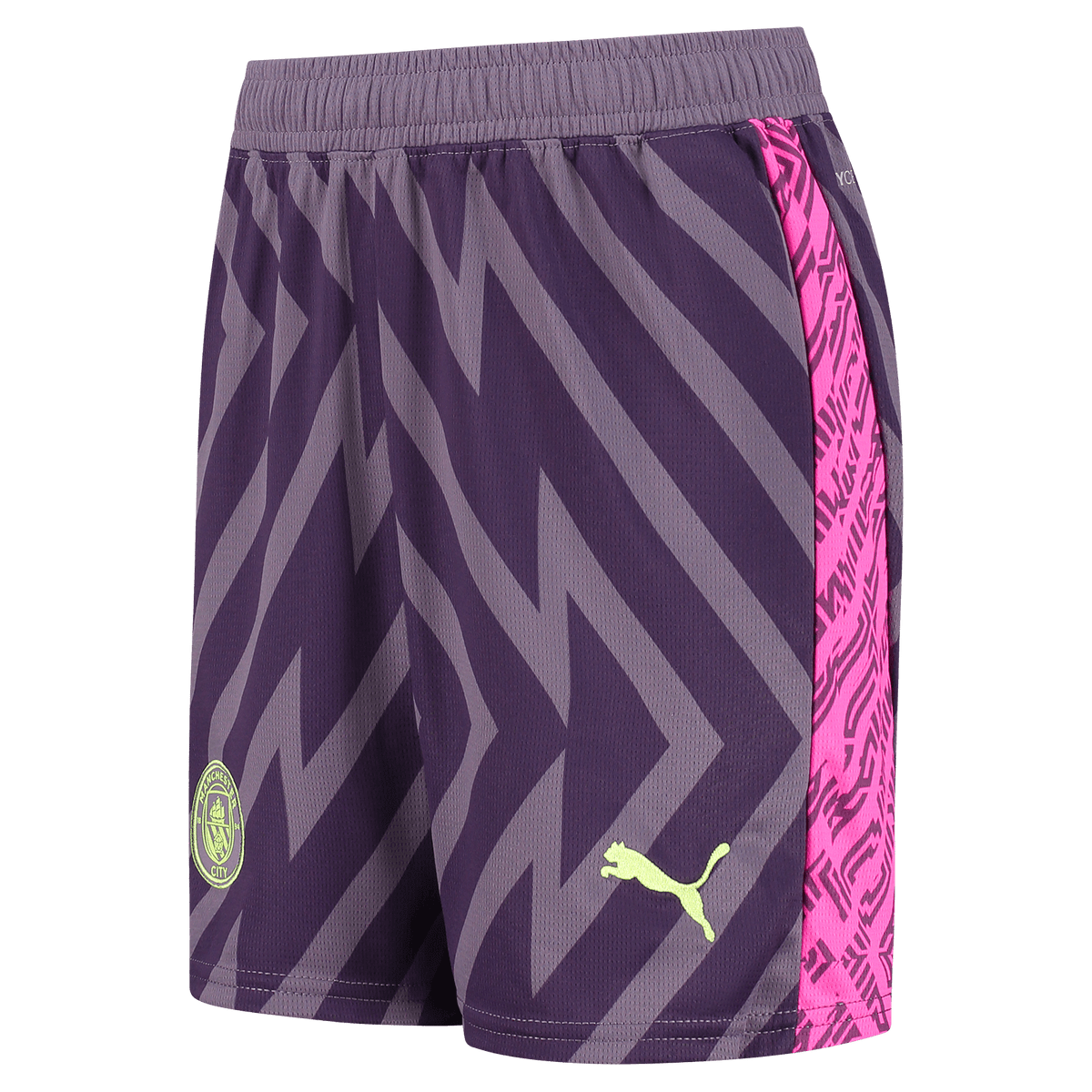 Manchester City 23/24 Men's Purple Goalkeeper Shirt