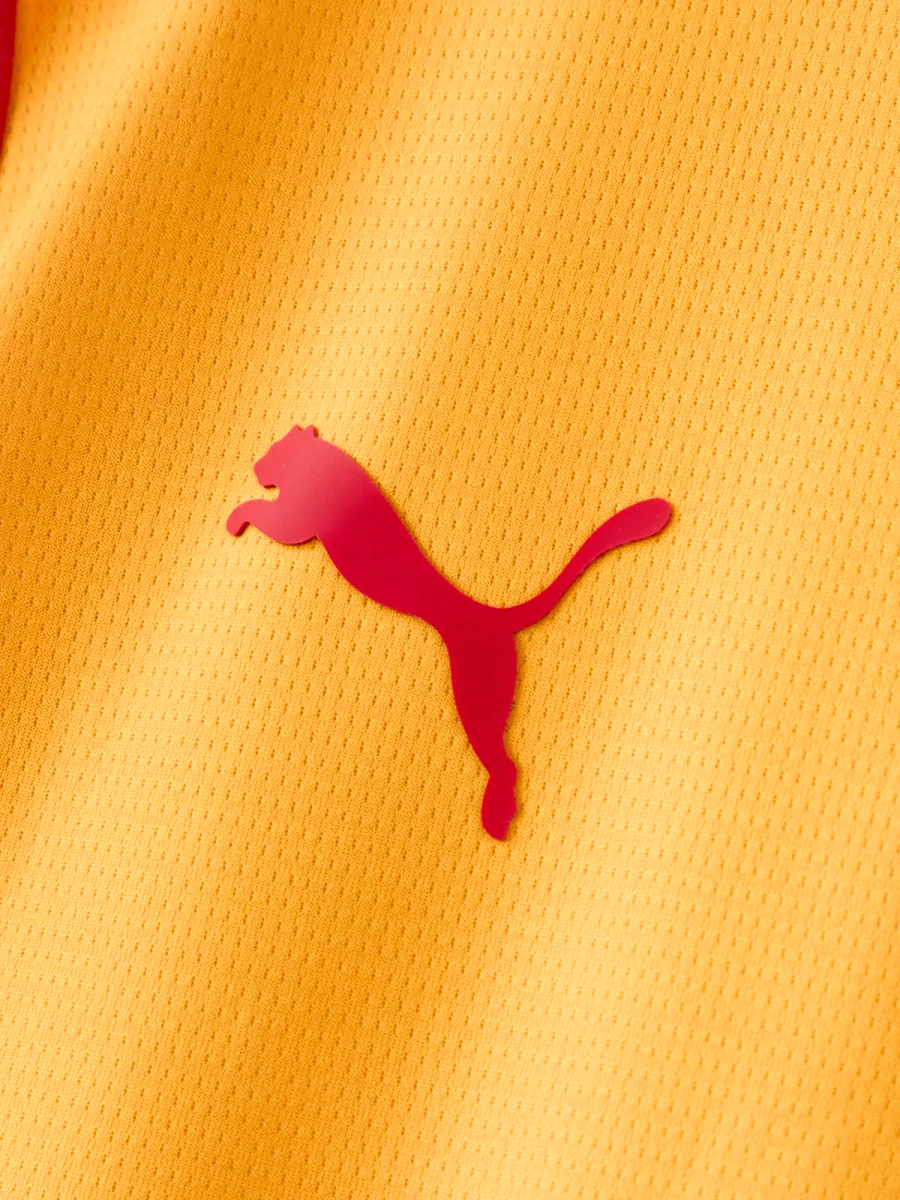 Galatasaray 26/27 Stadium Men's Home Shirt