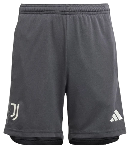 Juventus 23/24 Authentic Men's Third Shirt