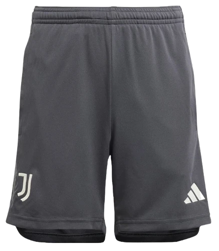 Juventus 23/24 Authentic Men's Third Shirt
