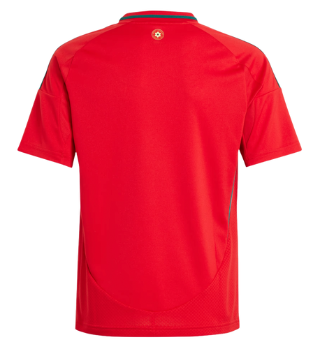 Wales 2024 Kid's Home Shirt and Shorts