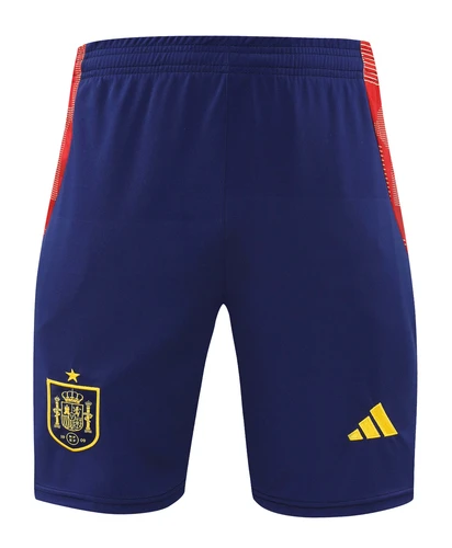Spain 2024 Men's Red Training Shirt