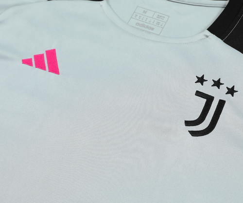 Juventus 24/25 Men's Gray Training Shirt