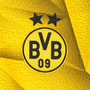 Borussia Dortmund 23/24 Stadium Men's Third Shirt