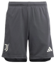 Juventus 23/24 Authentic Men's Third Shirt