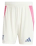 Juventus 24/25 Stadium Men's Away Shirt