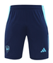 Arsenal 24/25 Men's Turquoise Training Shirt