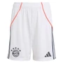 #25 MÜLLER Bayern Munich 25/26 Authentic Men's Away Shirt - Special Edition