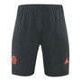 Bayern Munich 25/26 Men's Gray Training Tank Top