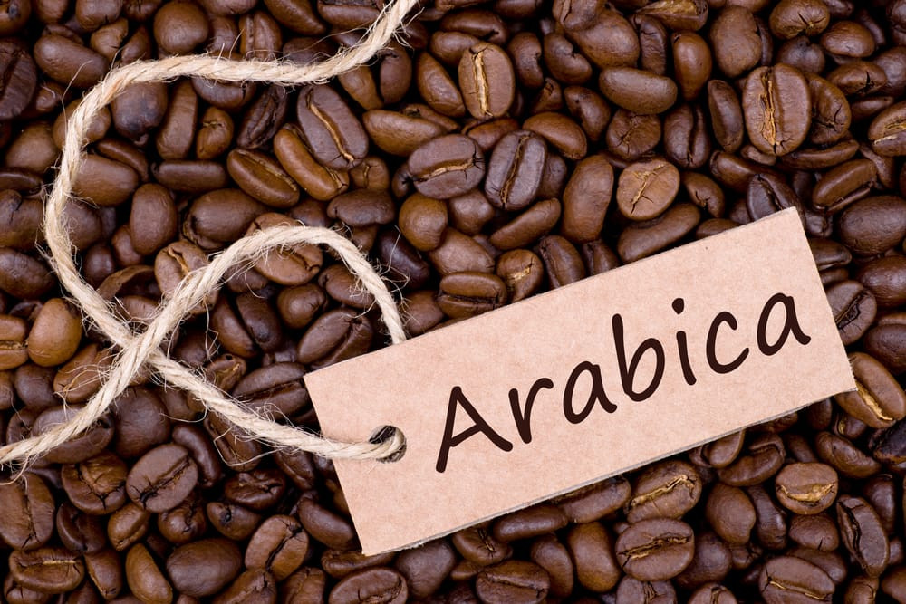 What is Arabica Coffee? A Flavorful Delight with Perks That'll Perk You Up!