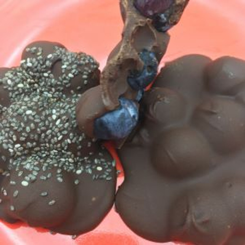 Chocolate Covered Blueberries