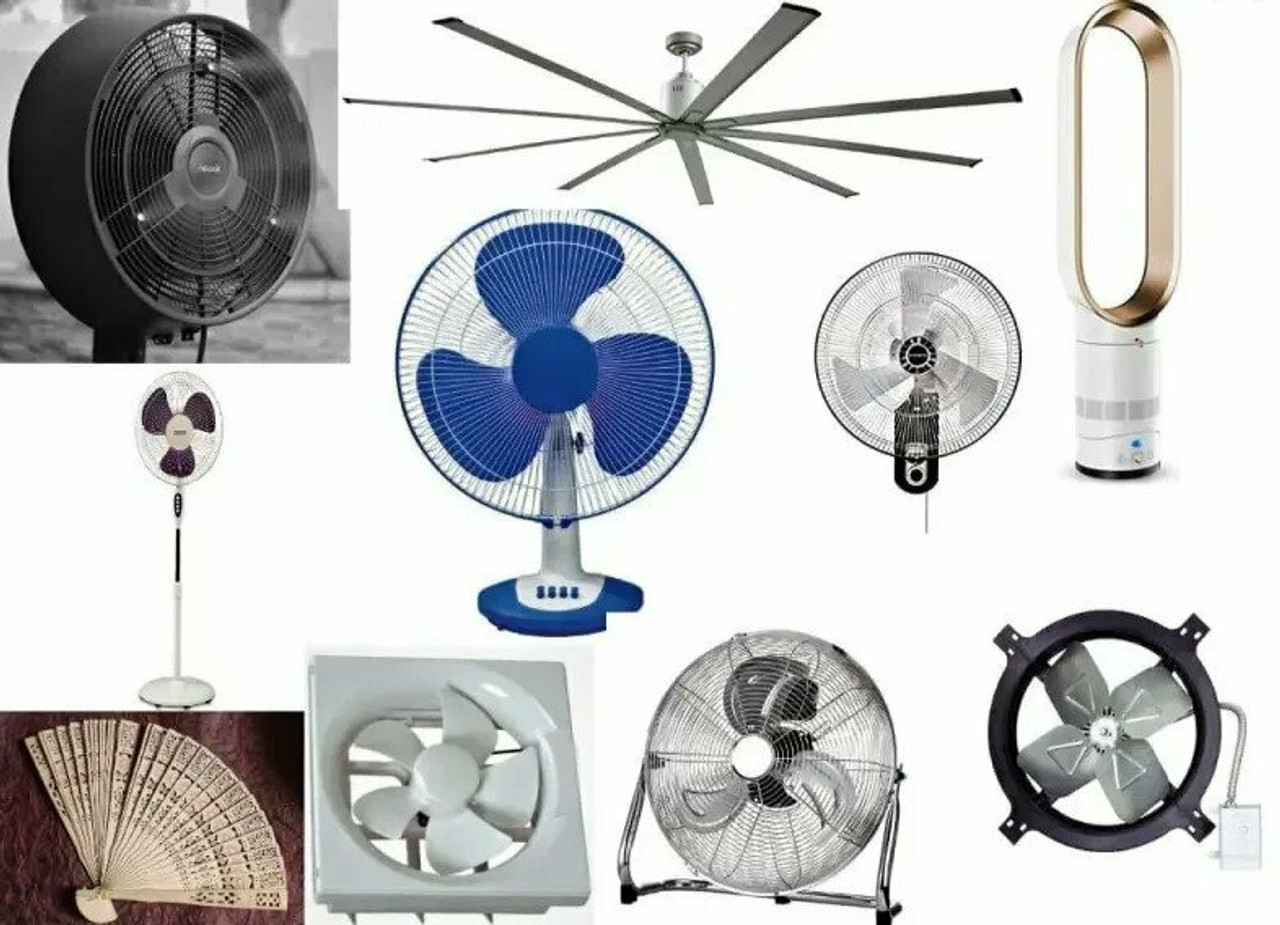 Fans