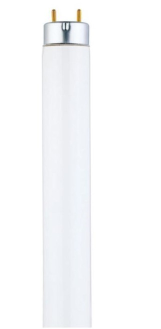 Westinghouse 32 W T8 1 in. D X 48 in. L Fluorescent Tube Light Bulb Cool White Linear 3500 K 1 pk