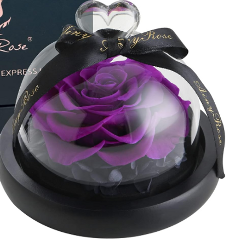 Rose Flower Birthday Gifts for Women Forever Preserved Real Rose in Glass Dome PURPLE