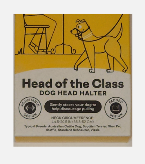 EveryYay Head of The Class Head Halter for Dogs – Medium Size, Padded Comfort Design, Anti-Pull Training Tool