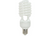 Light Bulb in White   BOX DAMAGED