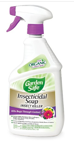 Garden Safe Insecticidal Soap Insect Killer, Kills Bugs Through Contact, Controls Aphids, Whiteflies, Mealybugs, For Organic Gardening, (RTU Spray) 24 fl Ounce Garden Safe Insecticidal Soap Insect Killer, Kills Bugs Through Contact, Controls Aphids, Whiteflies, Mealybugs, For Organic Gardening, (RTU Spray) 24 fl Ounce