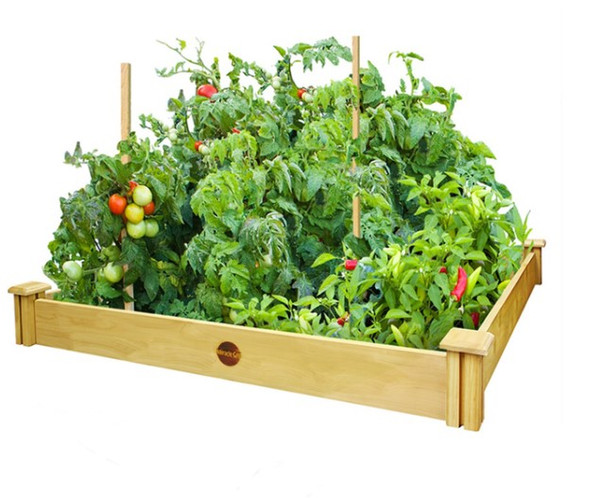 Miracle-Gro 5.5 in. H X 48 in. W X 48 in. D Cedar Elevated Garden Bed Kit Brown Miracle-Gro 5.5 in. H X 48 in. W X 48 in. D Cedar Elevated Garden Bed Kit Brown