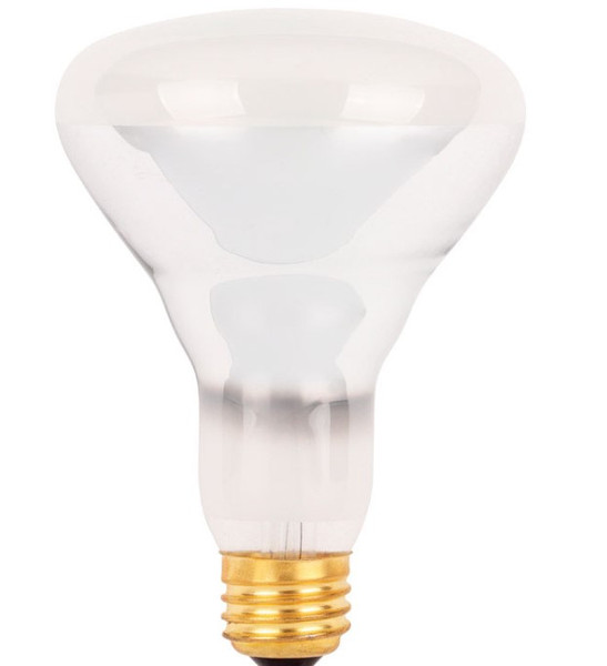 Westinghouse 65 W BR30 Floodlight Halogen Light Bulb 820 lm Bright White 1 pk