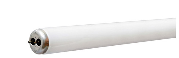 GE 15 W T12 24 in. L Fluorescent Bulb Cool White Linear 4100 K 1 pk