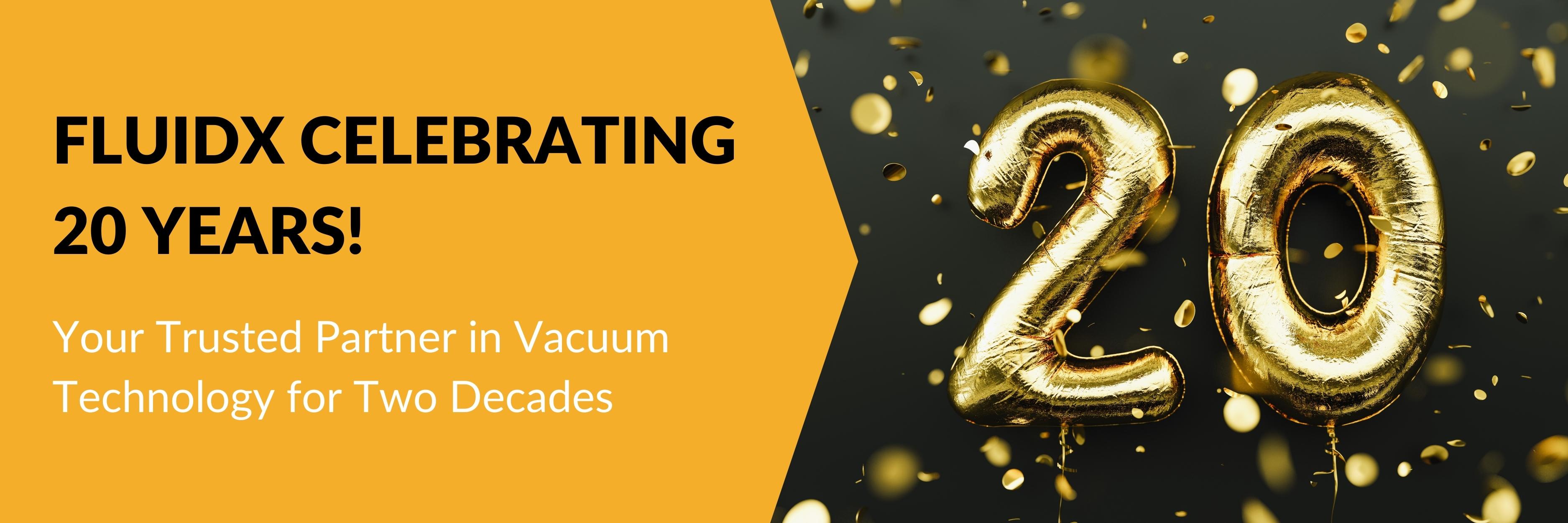 FLUIDX Your Trusted Partner in Vacuum Technology for Two Decades FLUIDX