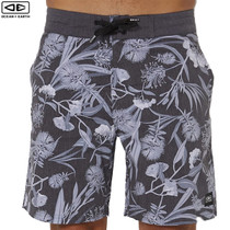 Ocean and Earth | Boardshorts 19" Bottlebrush | Surfwear  Ocean and Earth | Boardshorts 19" Bottlebrush | Surfwear