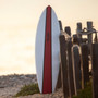 AIPA | Bone Fish Surfboard | Surftech Carbon Epoxy | Aggressive Fish