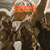 BLOODY VENGEANCE - Stuka Deathstrike, MC