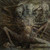FOSSILIZATION - Advent Of Wounds, LP [Pre-Reserve]
