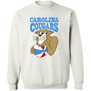 Hoodies and Sweatshirts