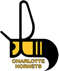 CHARLOTTE HORNETS
