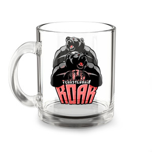 Pennsylvania Roar Glass Mug 10 Ounce MISL Soccer Team Collectible Drinkware