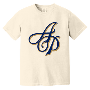 Akron Pros T-shirt Heavyweight NFL Football Team Fan Apparel Tee color Ivory