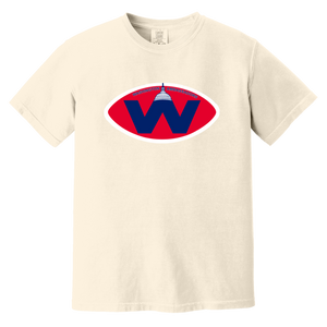 Washington Ambassadors T-shirt Heavyweight WFL Football Team Fan Apparel Tee color Ivory