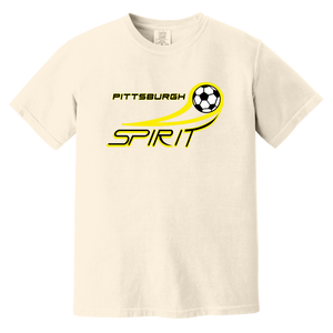 Pittsburgh Spirit T-shirt Heavyweight MISL Soccer Team Fan Apparel Tee color Ivory