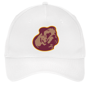 Boston Bulldogs Twill Cap NFL Football Team color White
