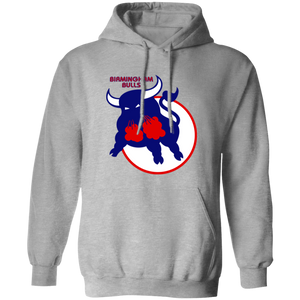Birmingham Bulls WHA Hockey Hoodie Pullover in Sport Grey