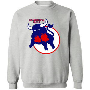 Birmingham Bulls WHA Hockey Sweatshirt Crewneck Pullover in sport grey